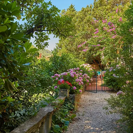 Apartment Magnolia