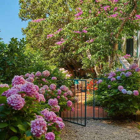 Apartamento Magnolia *